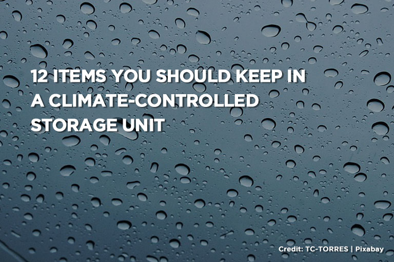 12 Items You Should Keep in a Climate-Controlled Storage Unit