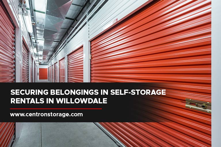 Securing Belongings in Self-Storage Rentals in Willowdale